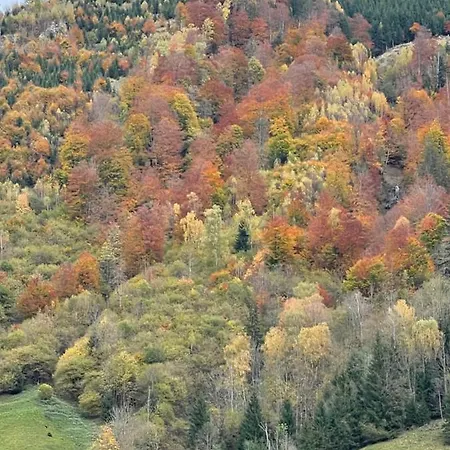 Captains Sunny At Sigl With Summercard * Zell am See